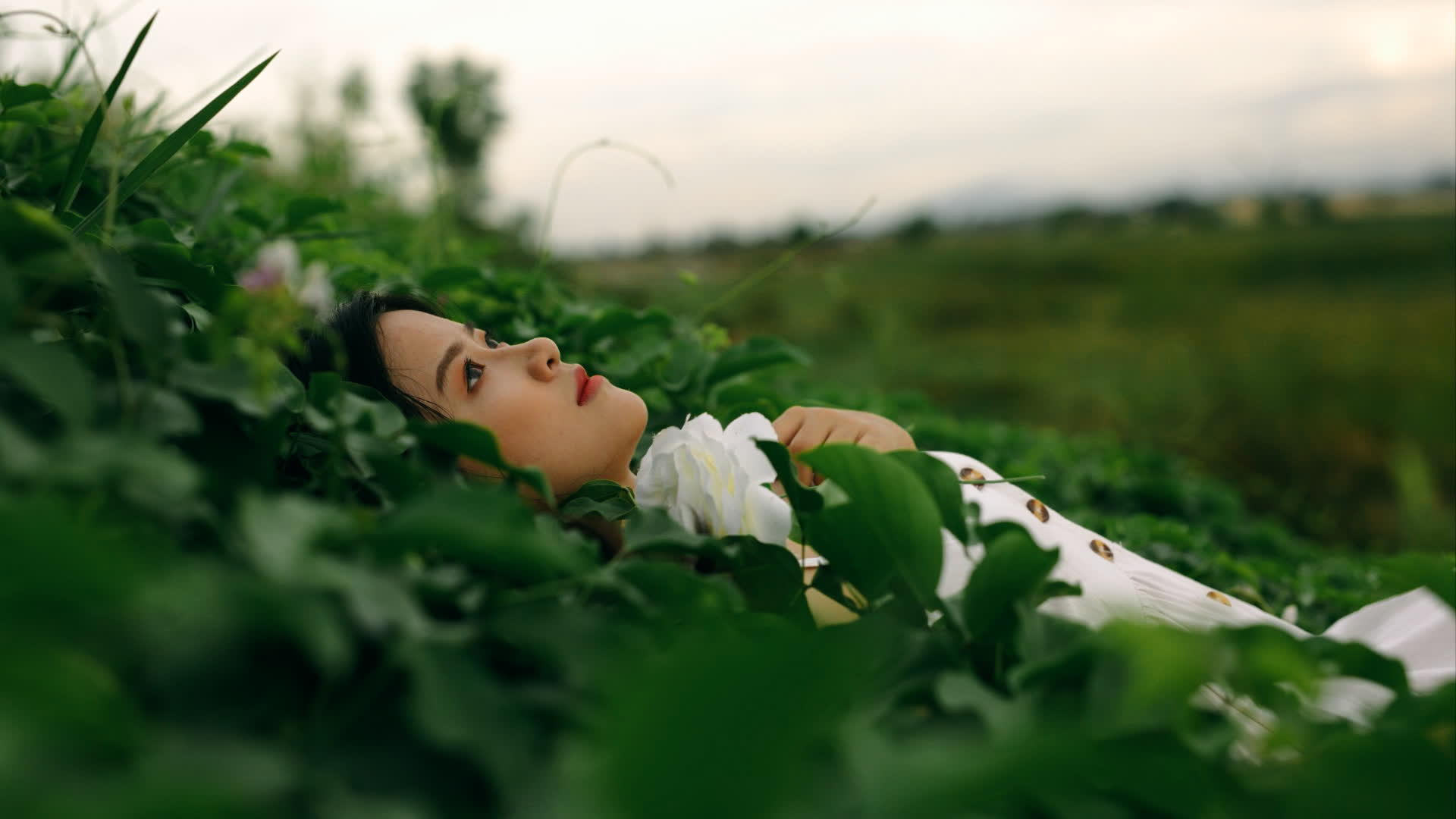 应用 LUT 后预览