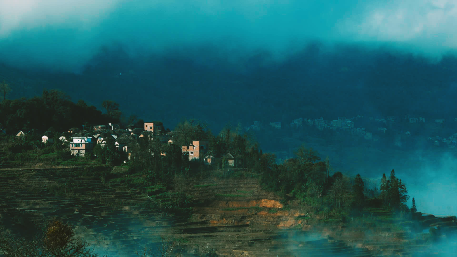 应用 LUT 后预览