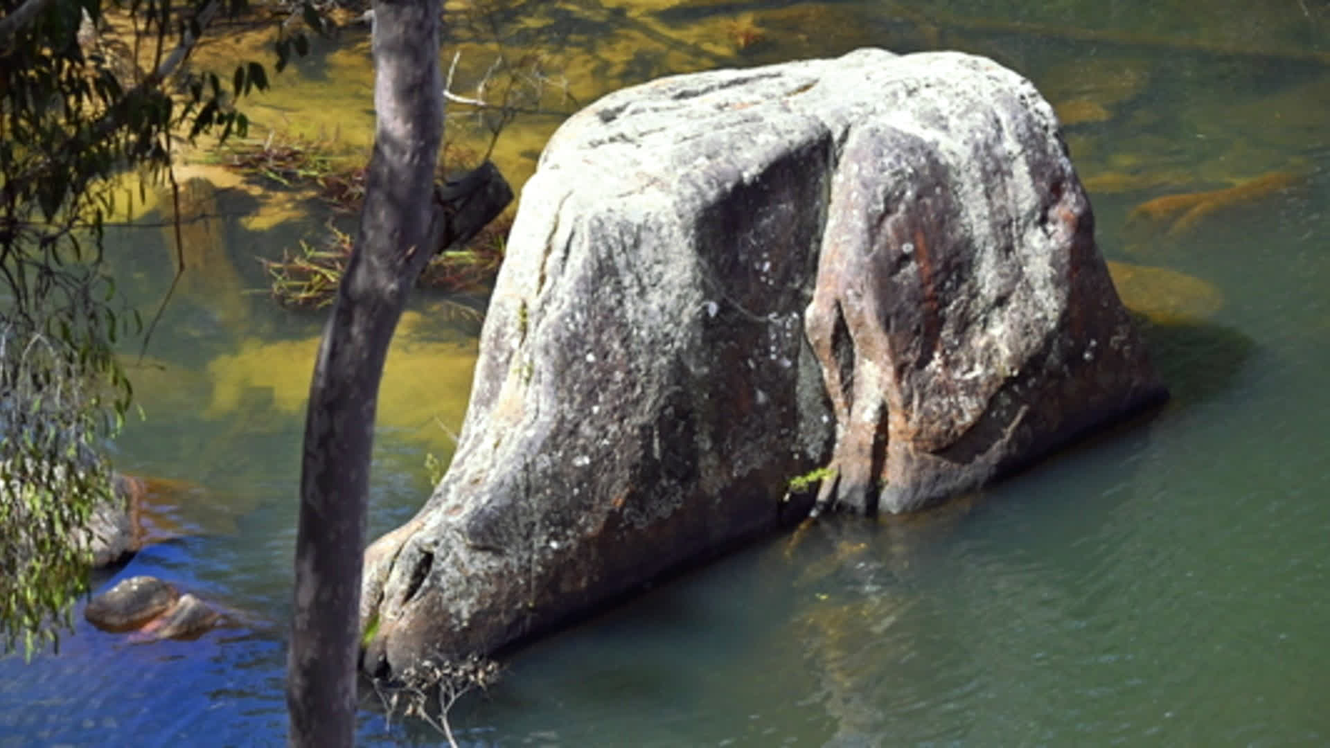 应用 LUT 后预览