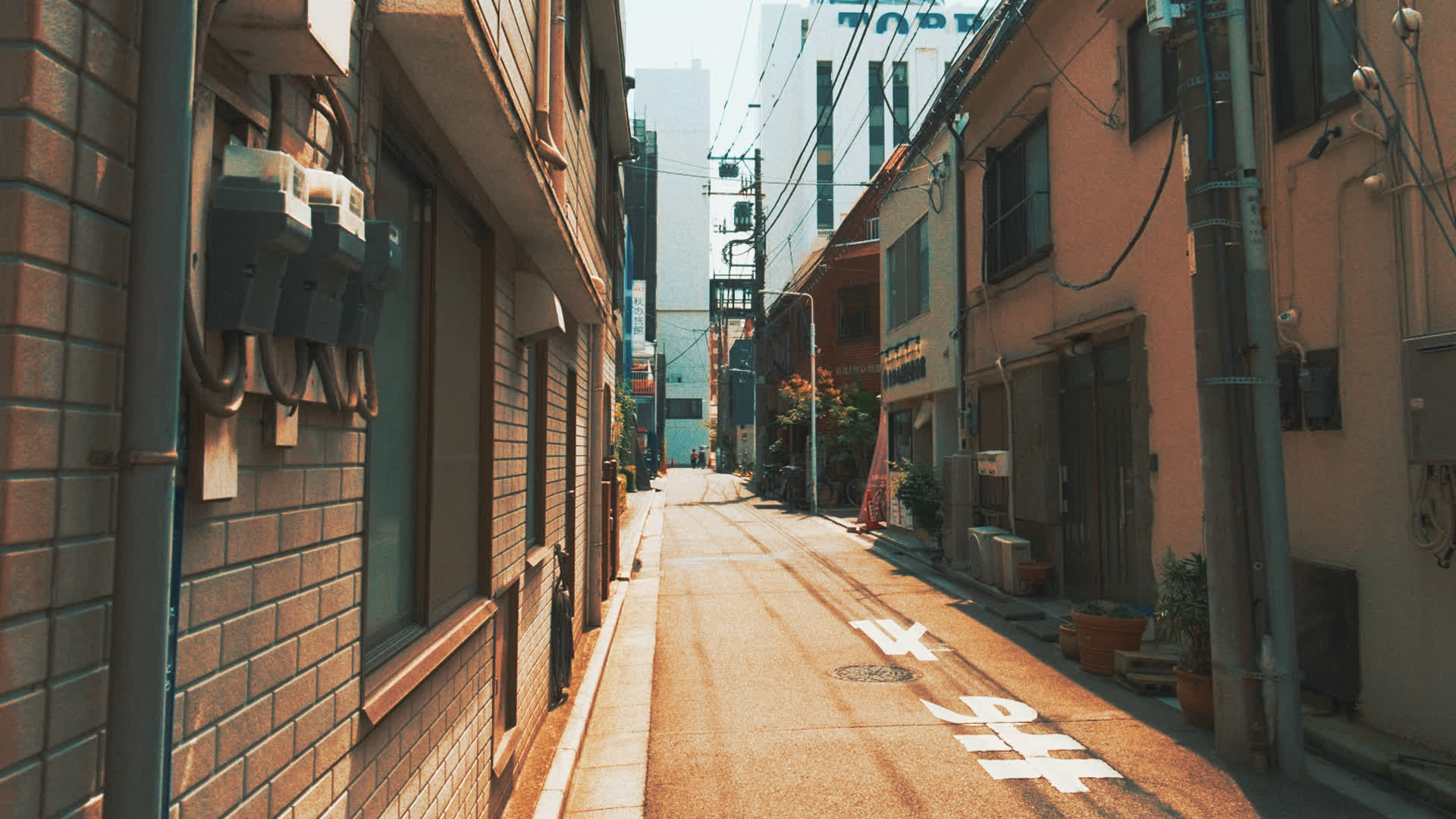 应用 LUT 后预览