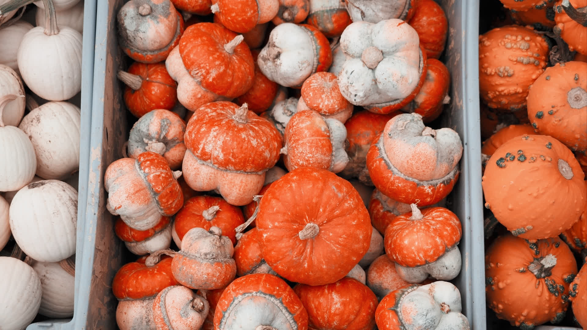 应用 LUT 后预览