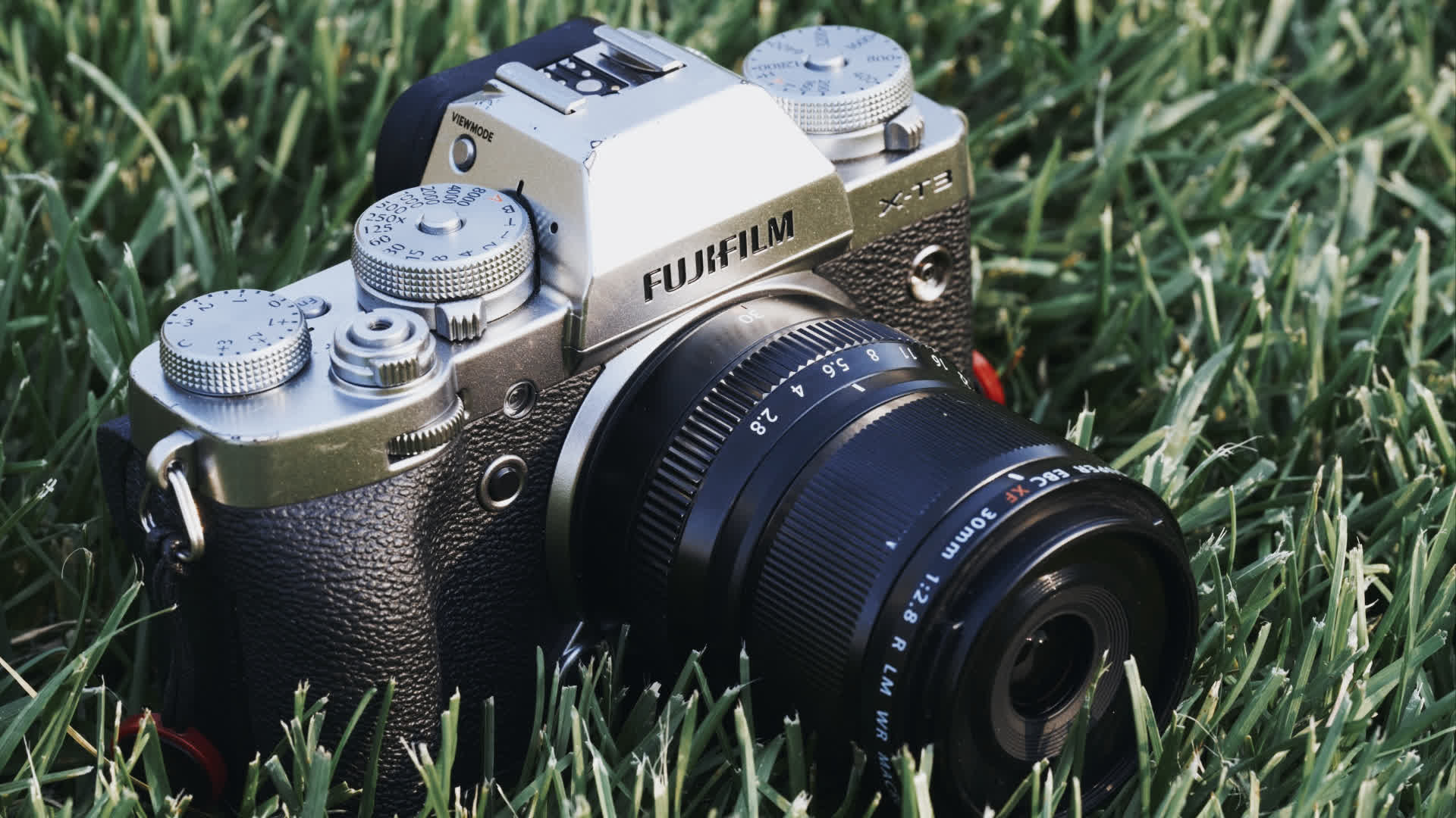 应用 LUT 后预览