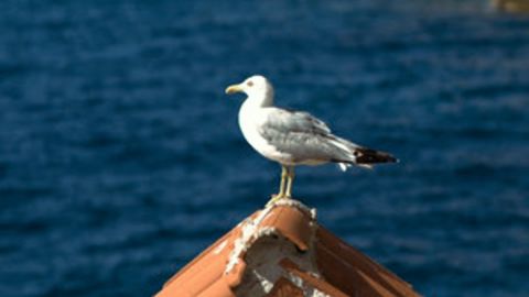 Vision3 50D (5203) b