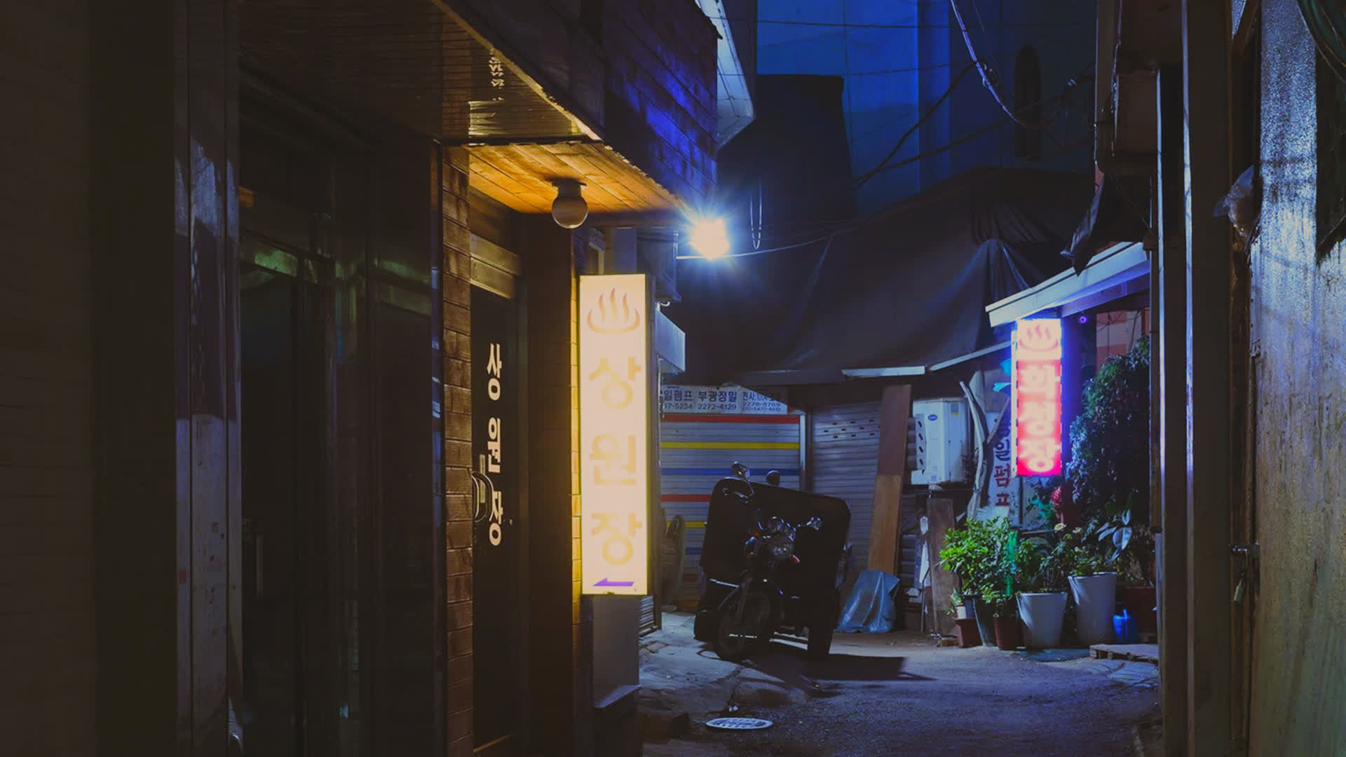 应用 LUT 后预览