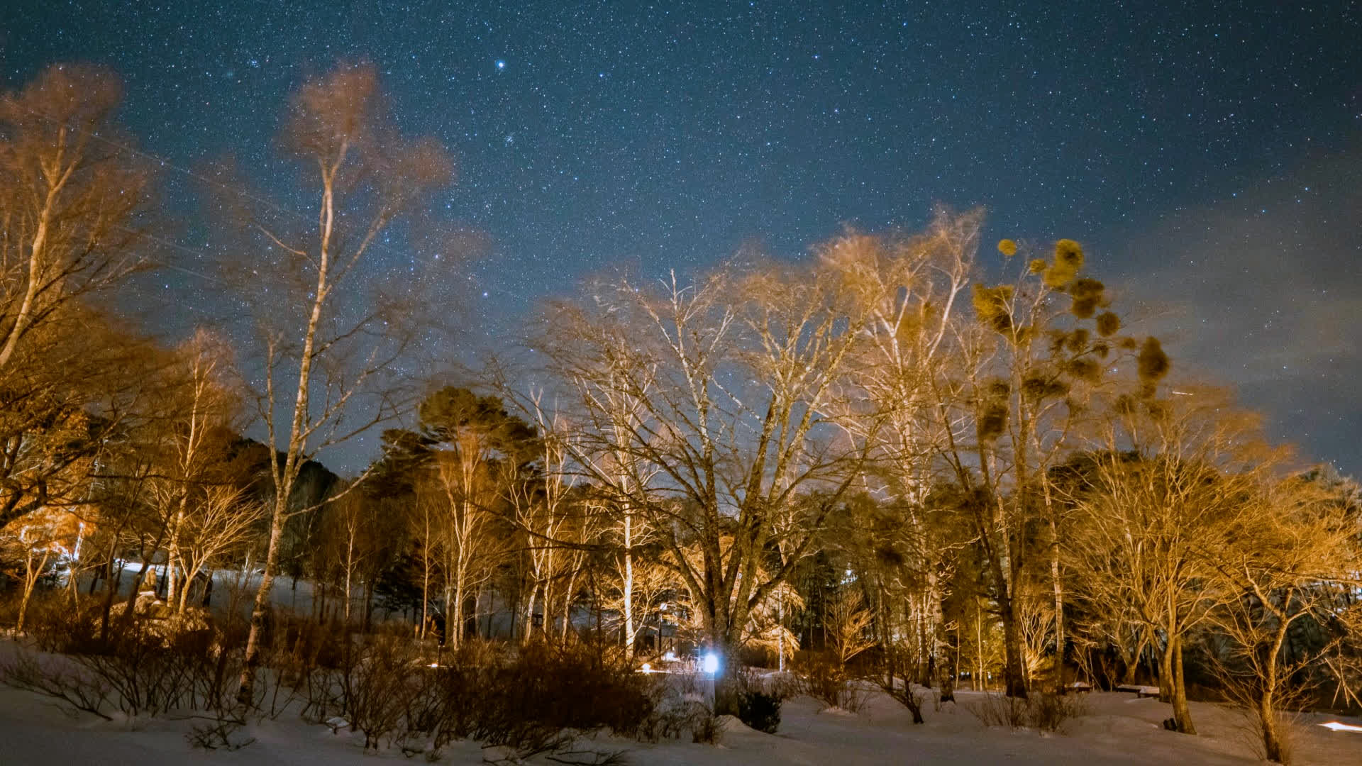 应用 LUT 后预览