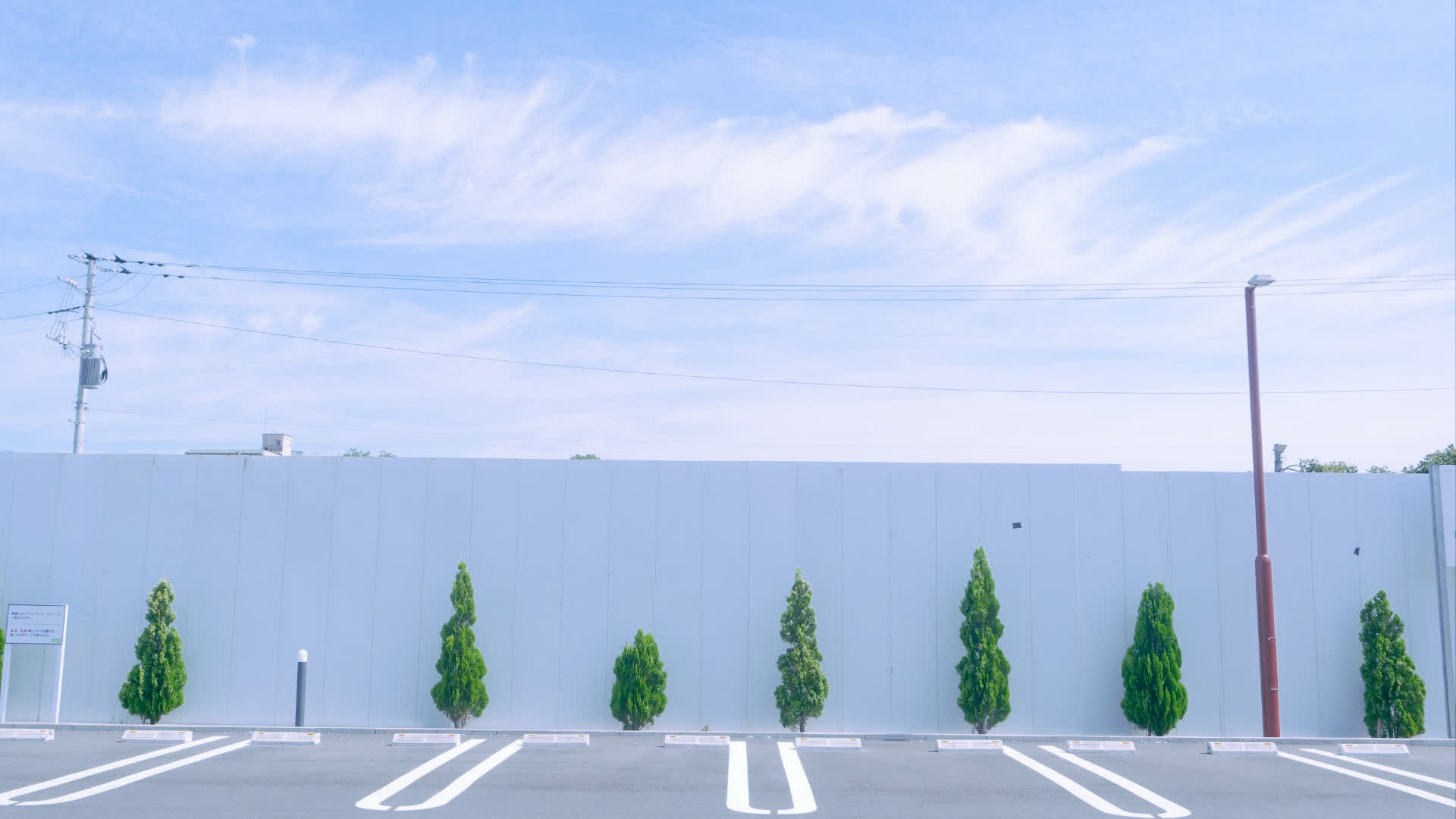 应用 LUT 后预览