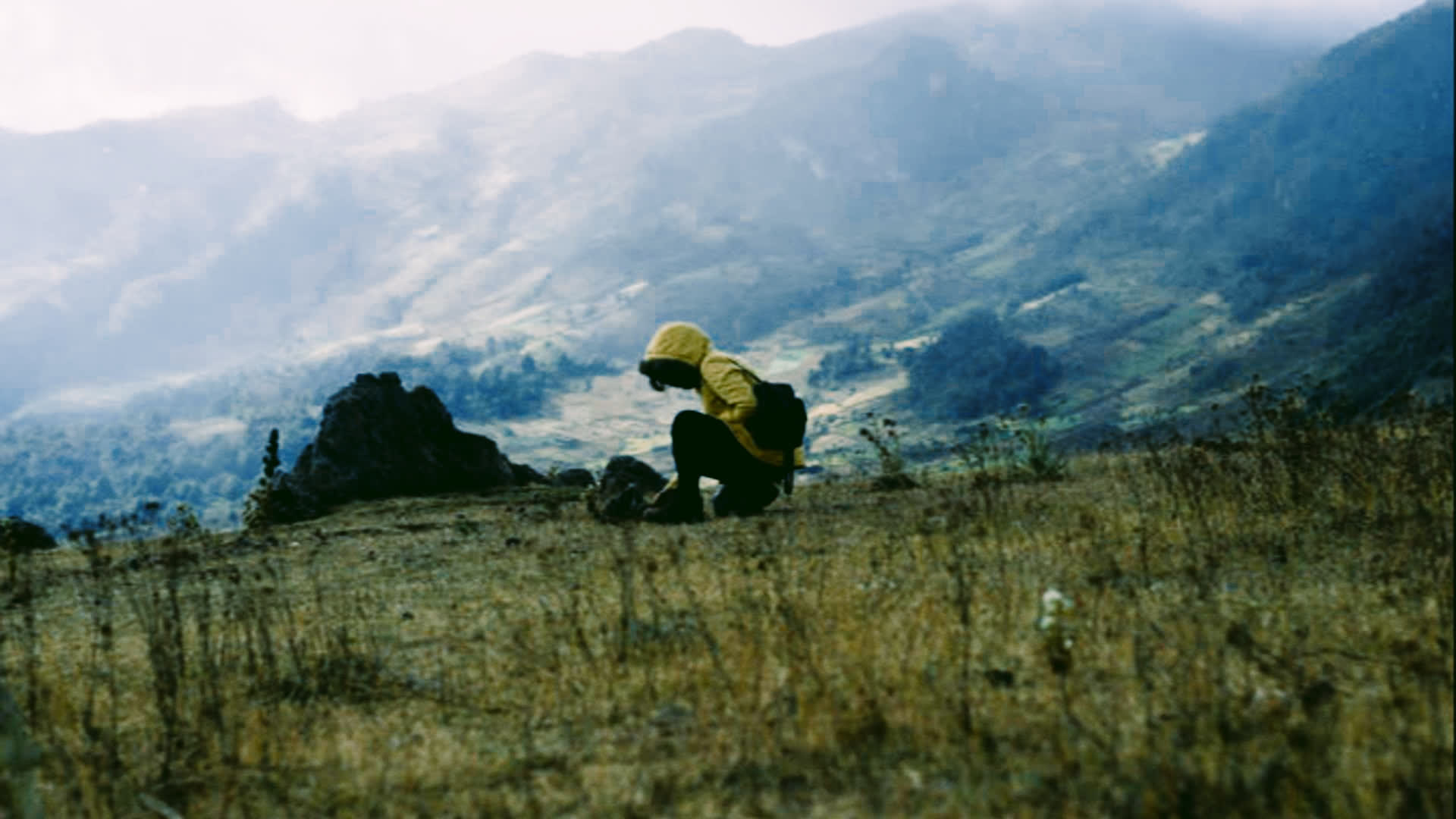 应用 LUT 后预览