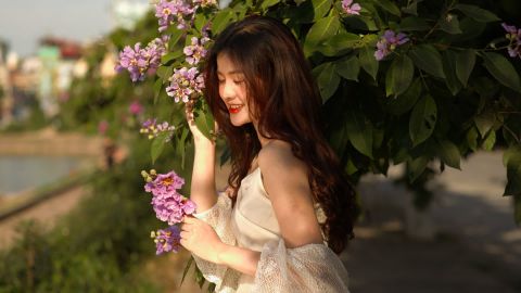 富士花卉Premium 400 blues