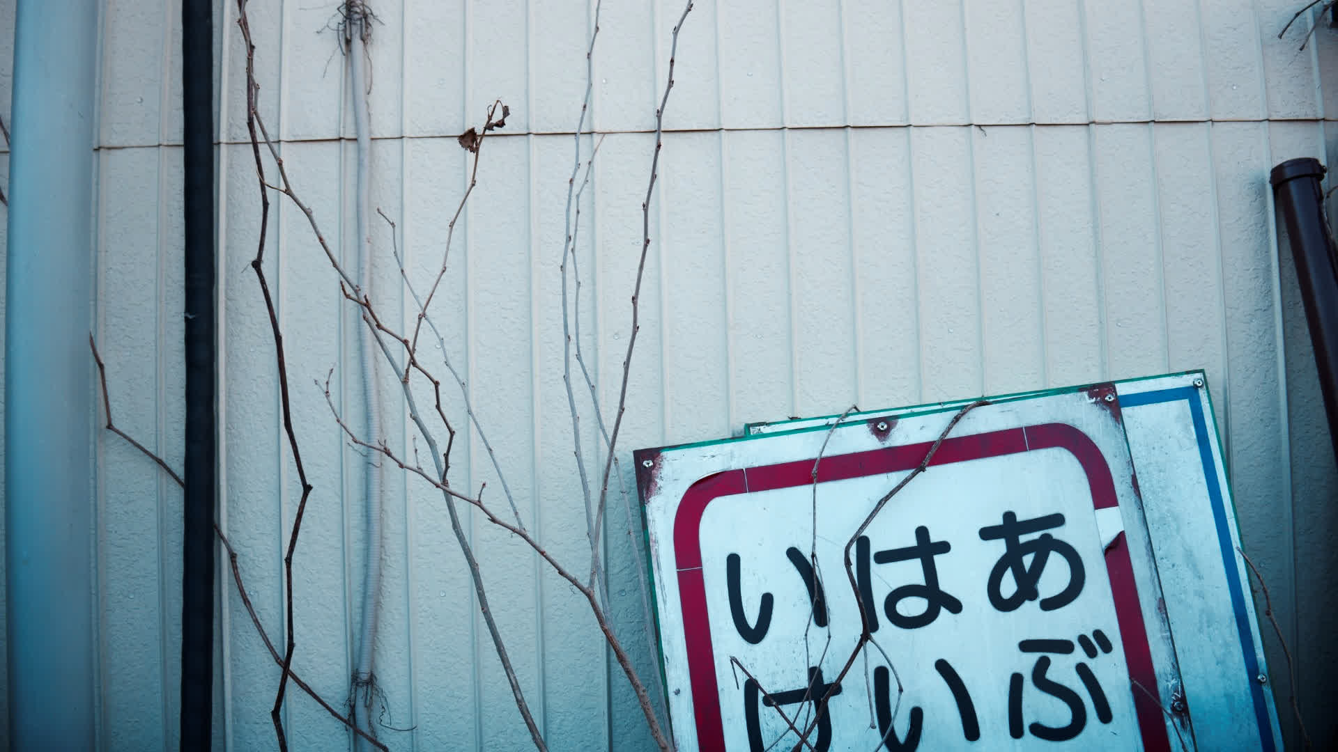 应用 LUT 后预览