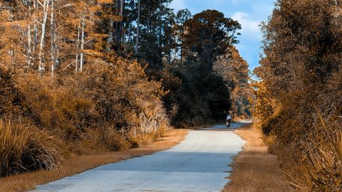 美丽的秋色与蓝色相结合