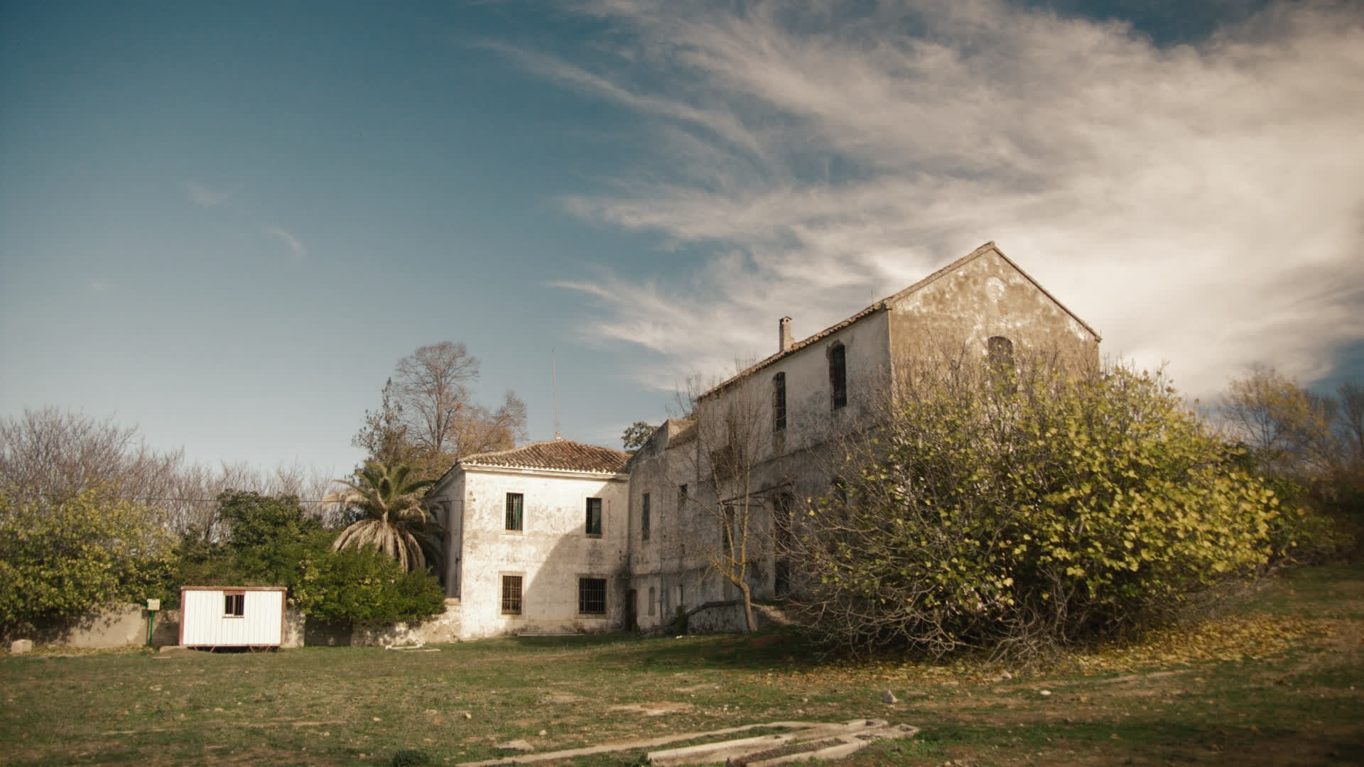 应用 LUT 后预览