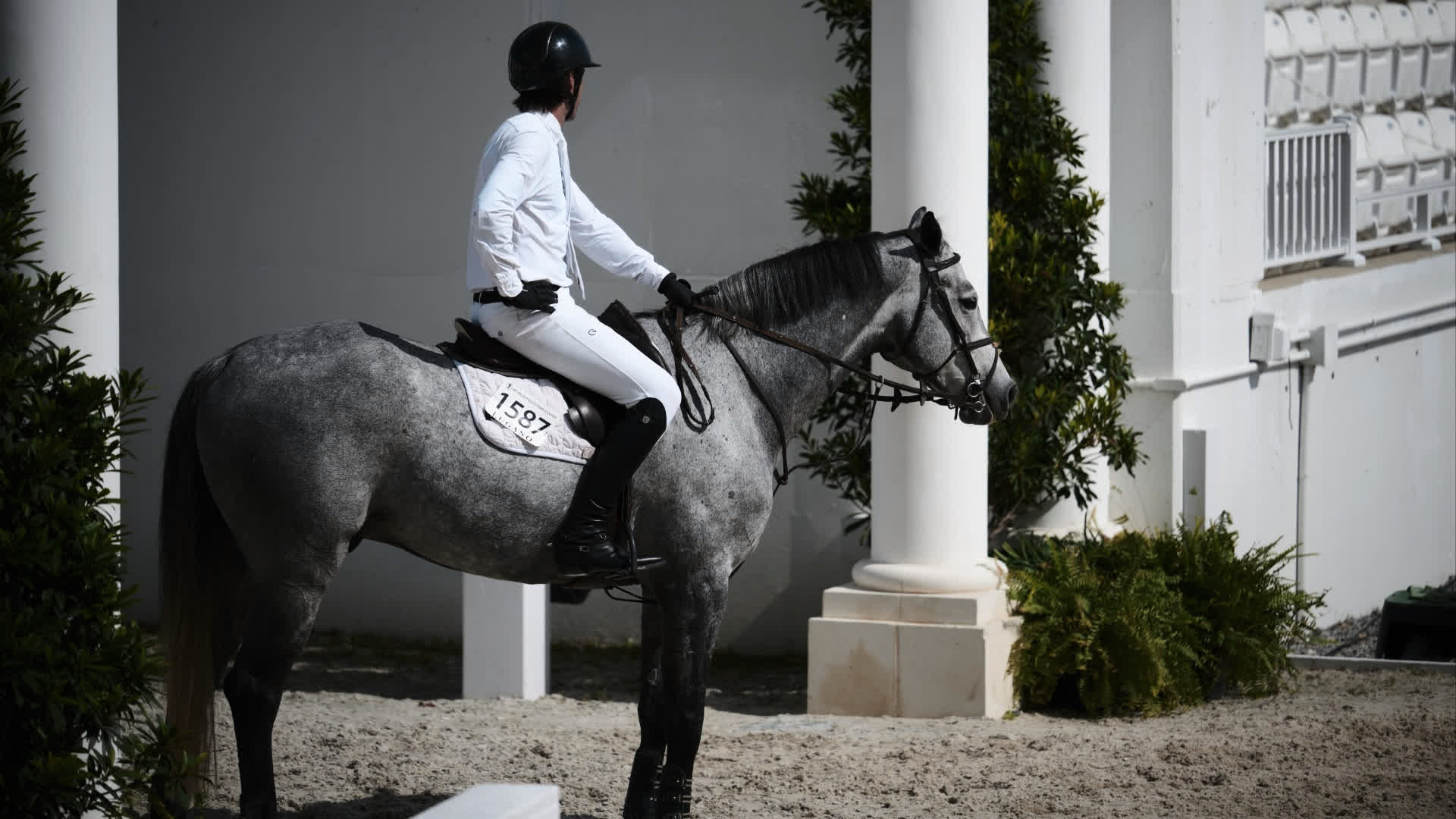 应用 LUT 后预览