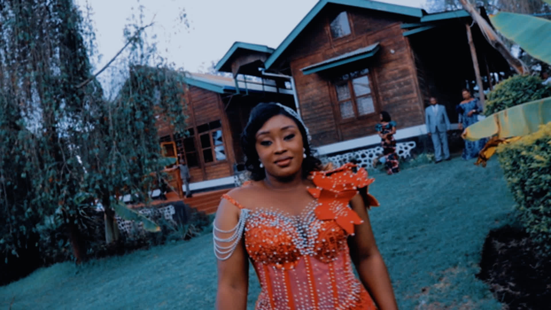 应用 LUT 后预览