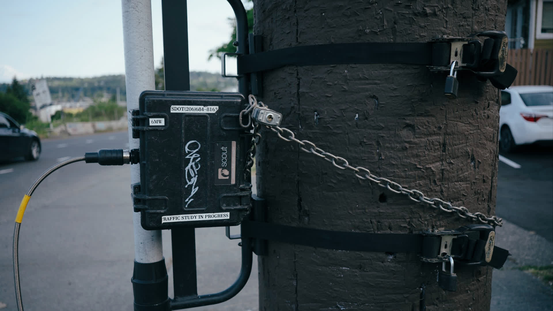 应用 LUT 后预览