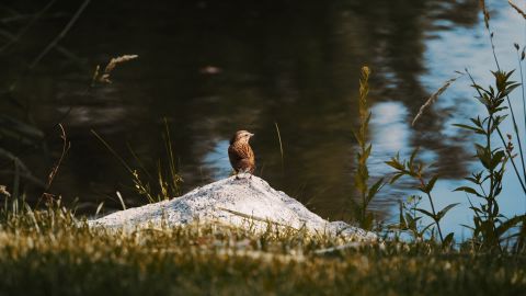 黄绿色调的电影效果 对比度强烈