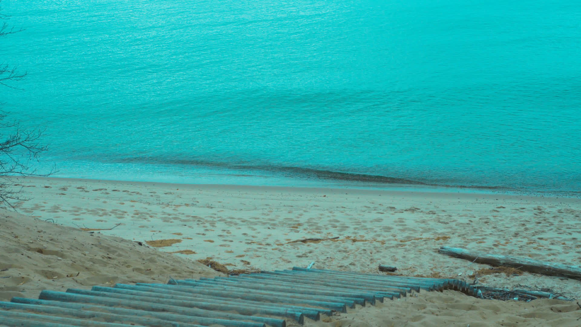 应用 LUT 后预览