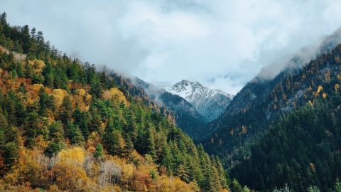 白昼街景中性色自然对比