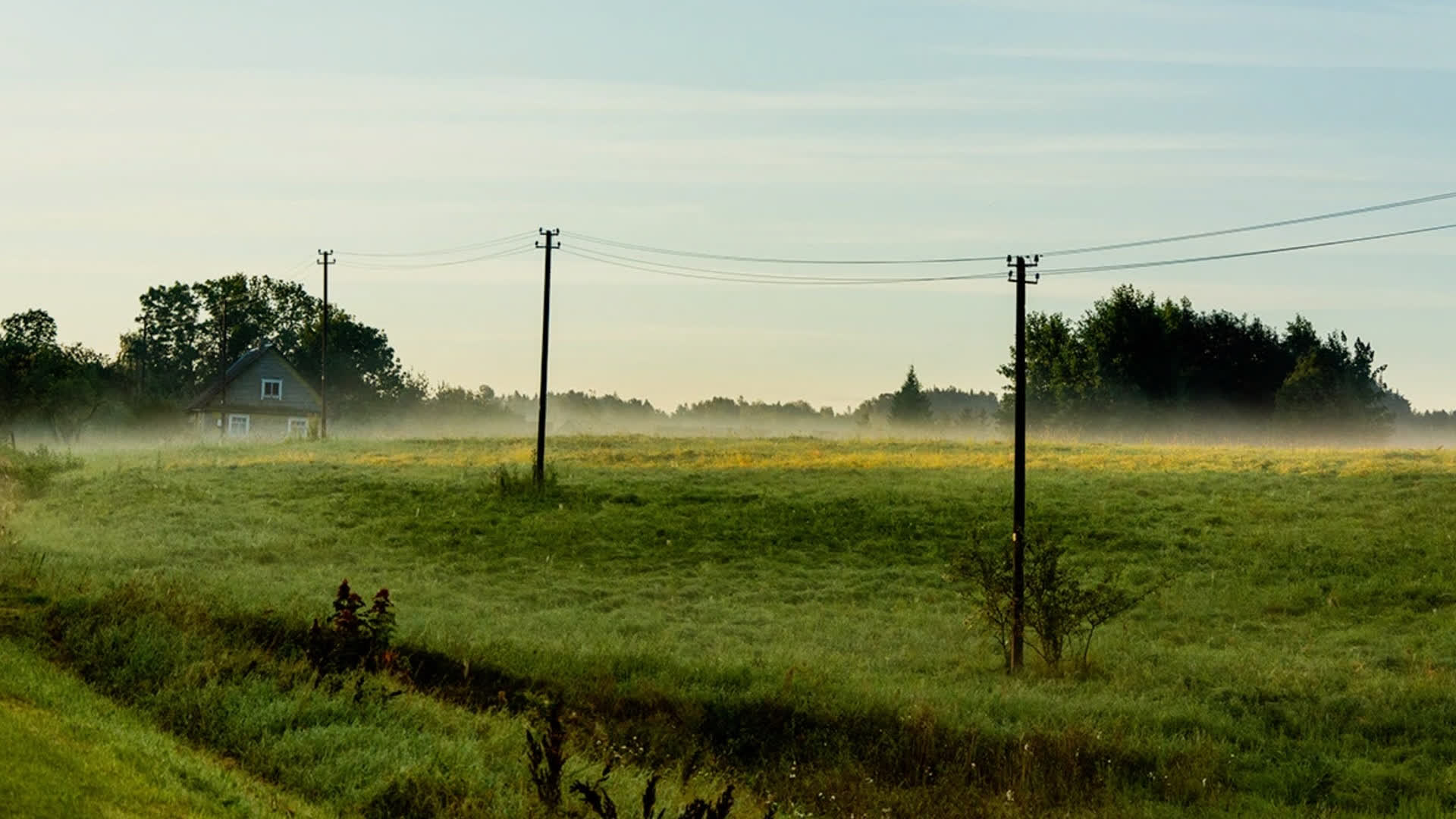 应用 LUT 后预览
