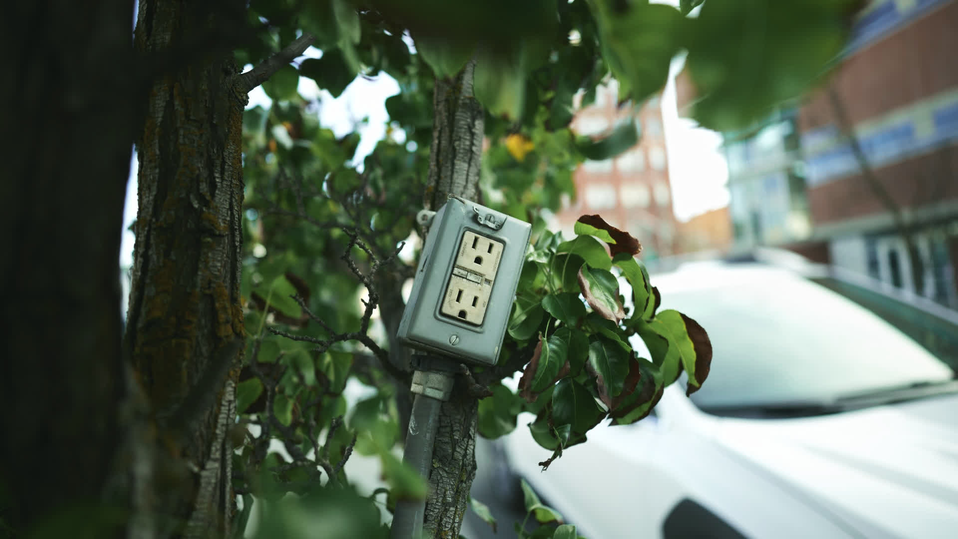 应用 LUT 后预览