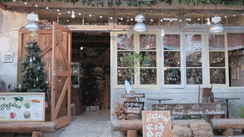 圣诞清晨冷调柔光