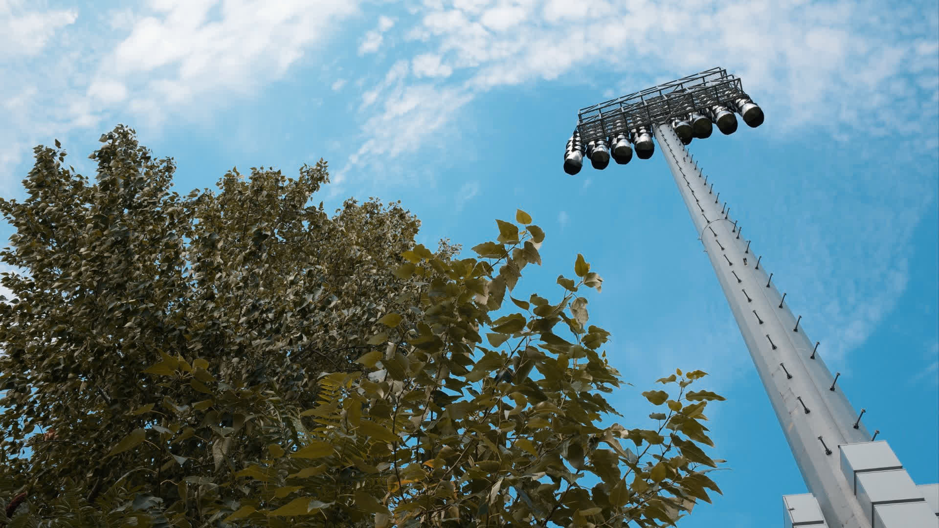 应用 LUT 后预览