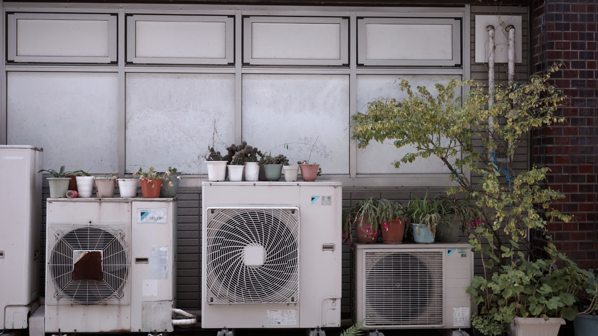 应用 LUT 后预览