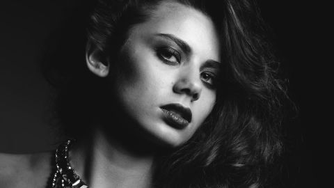 富士Fuji FP-3000b HC