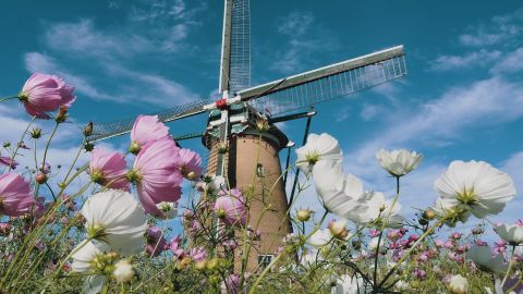 低饱和招商蓝灰片