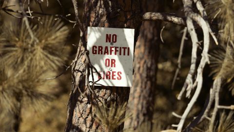 墨西哥式的温暖惊悚色调 《宙斯星座》