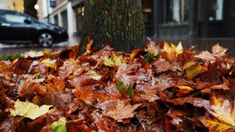 富士Fuji FP-100c 4 Alt