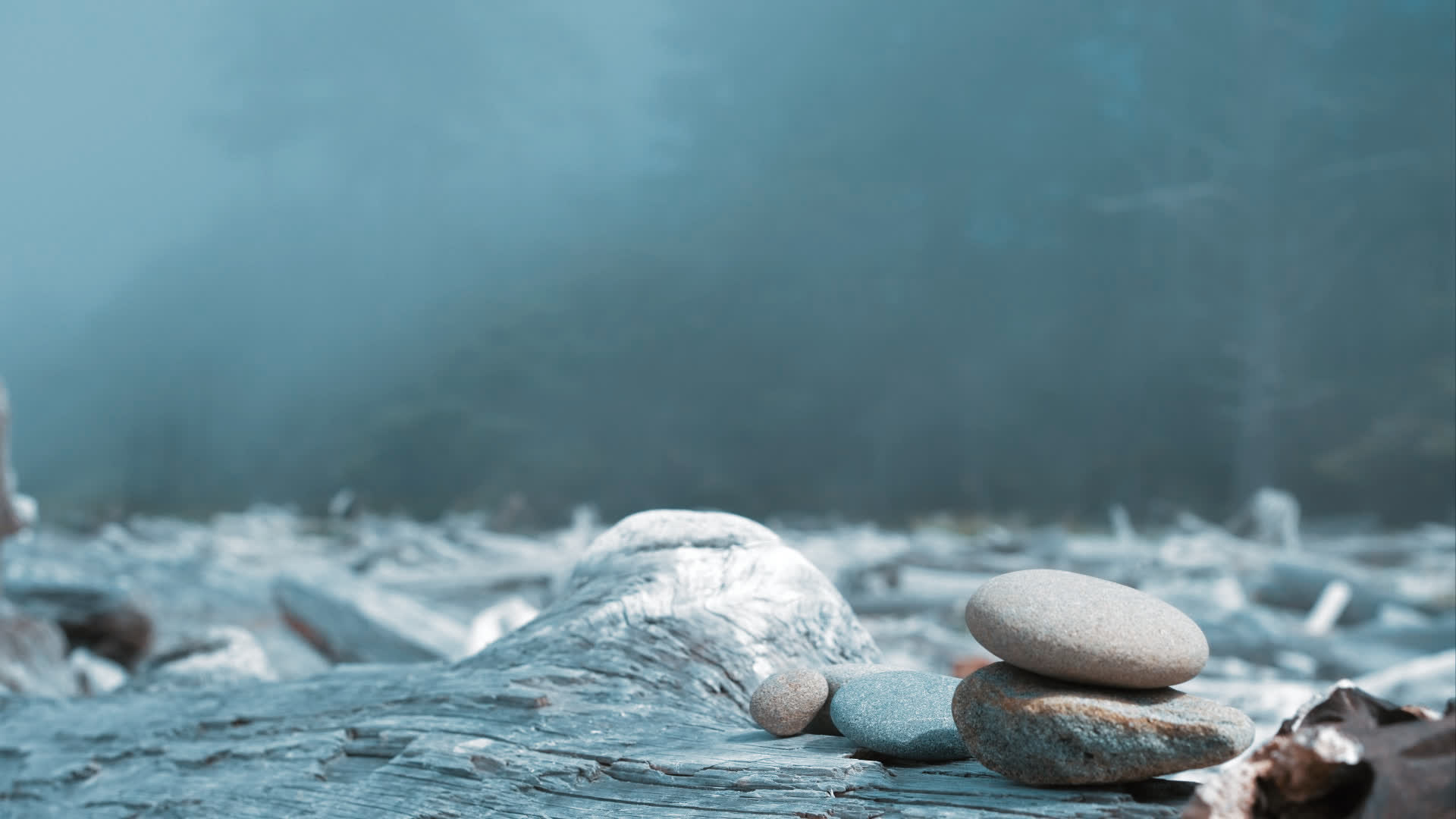 应用 LUT 后预览