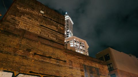 鲜明而对比强烈的外观