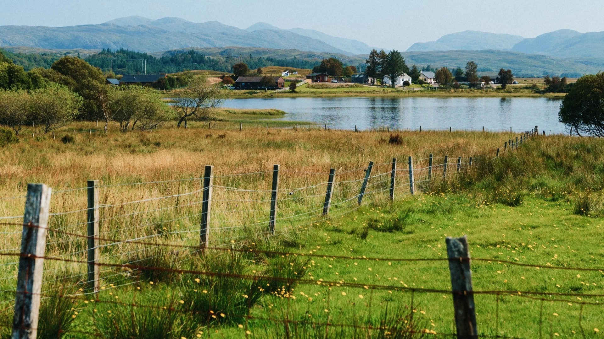 应用 LUT 后预览