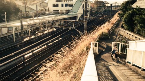 金色年代暖阳与青影