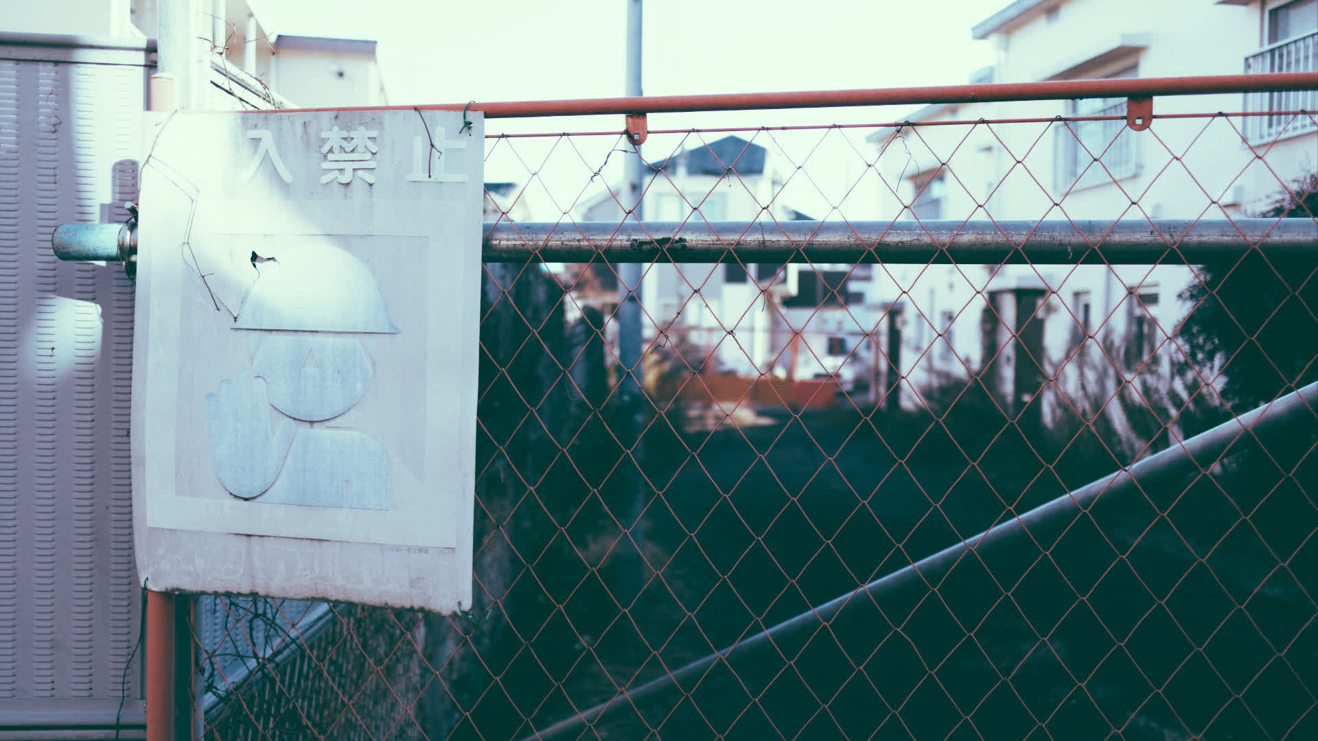 应用 LUT 后预览