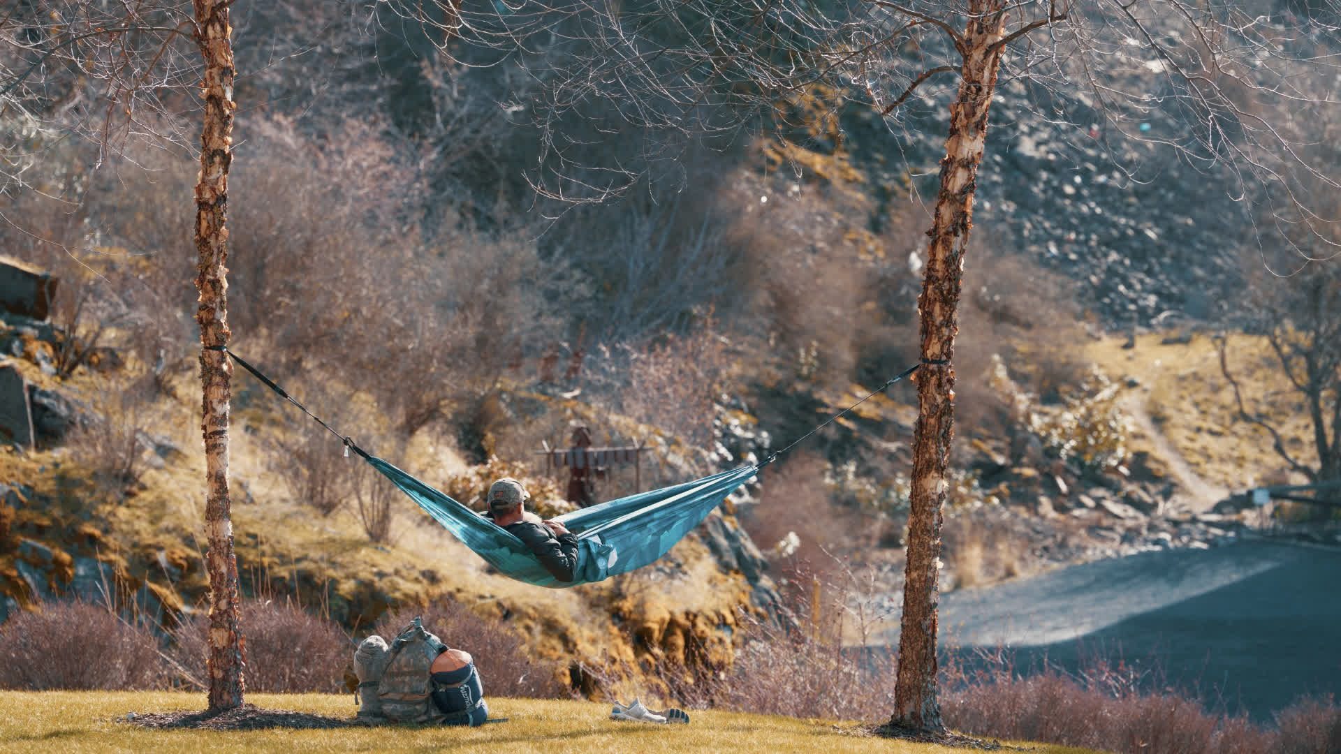 应用 LUT 后预览