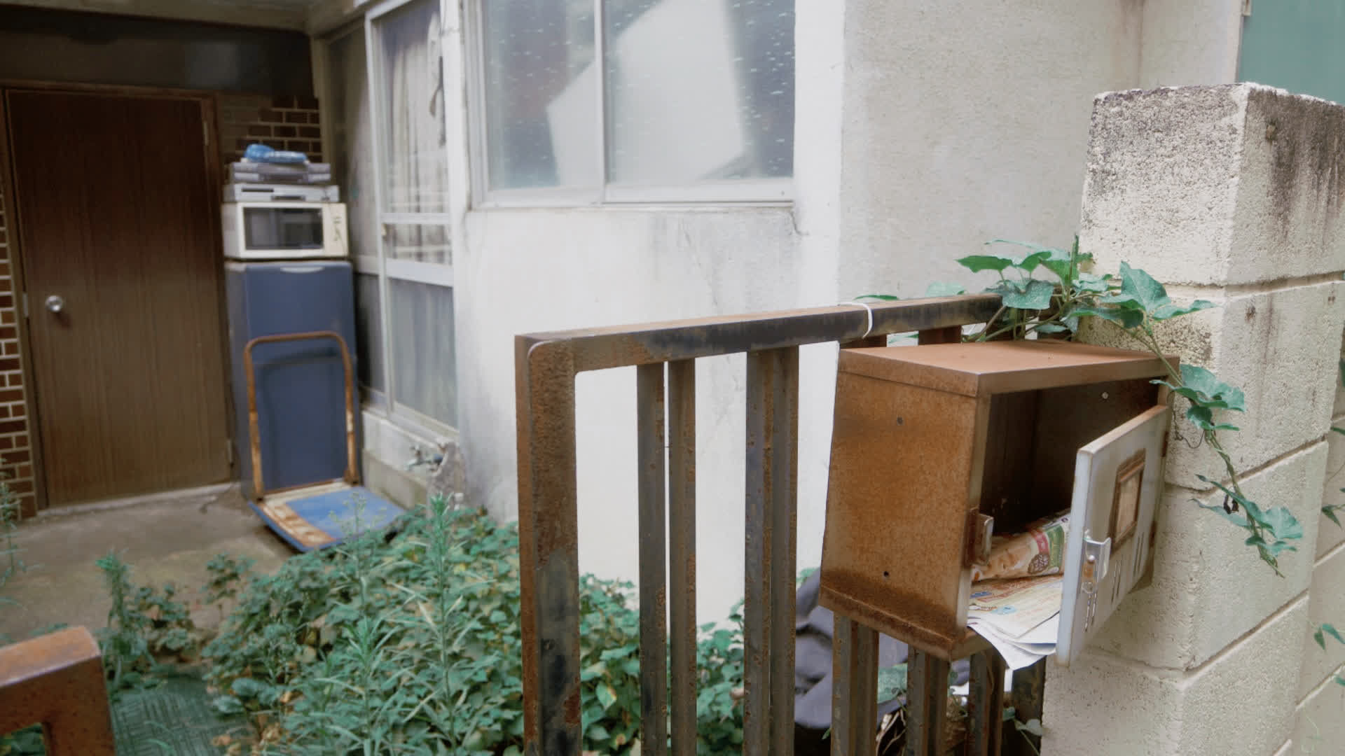 应用 LUT 后预览