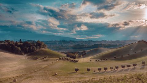 中低对比山间远景