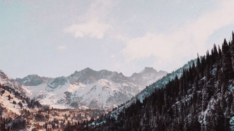 通用场景冷白标准对比