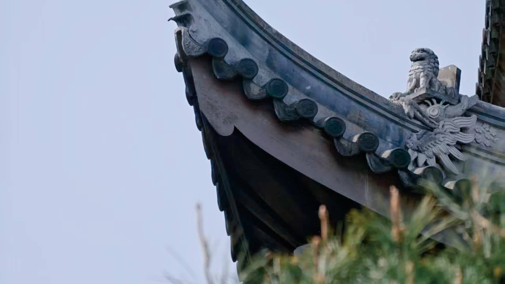 应用 LUT 后预览