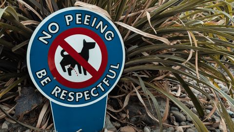 小范围的棕色和橙色外观暗对比度