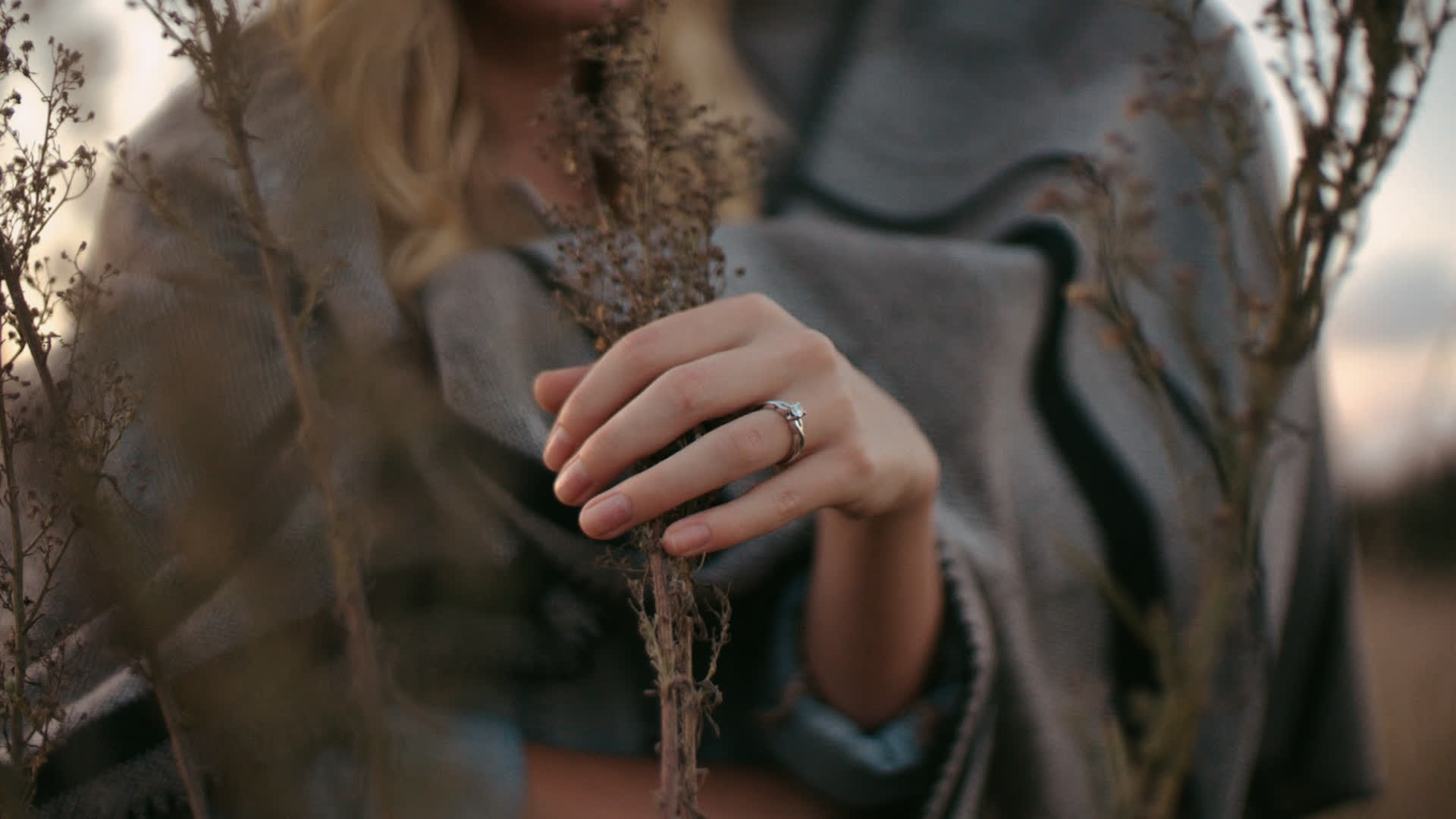 应用 LUT 后预览