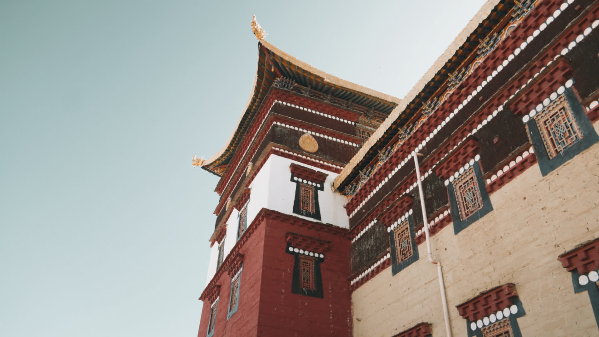 应用 LUT 后预览