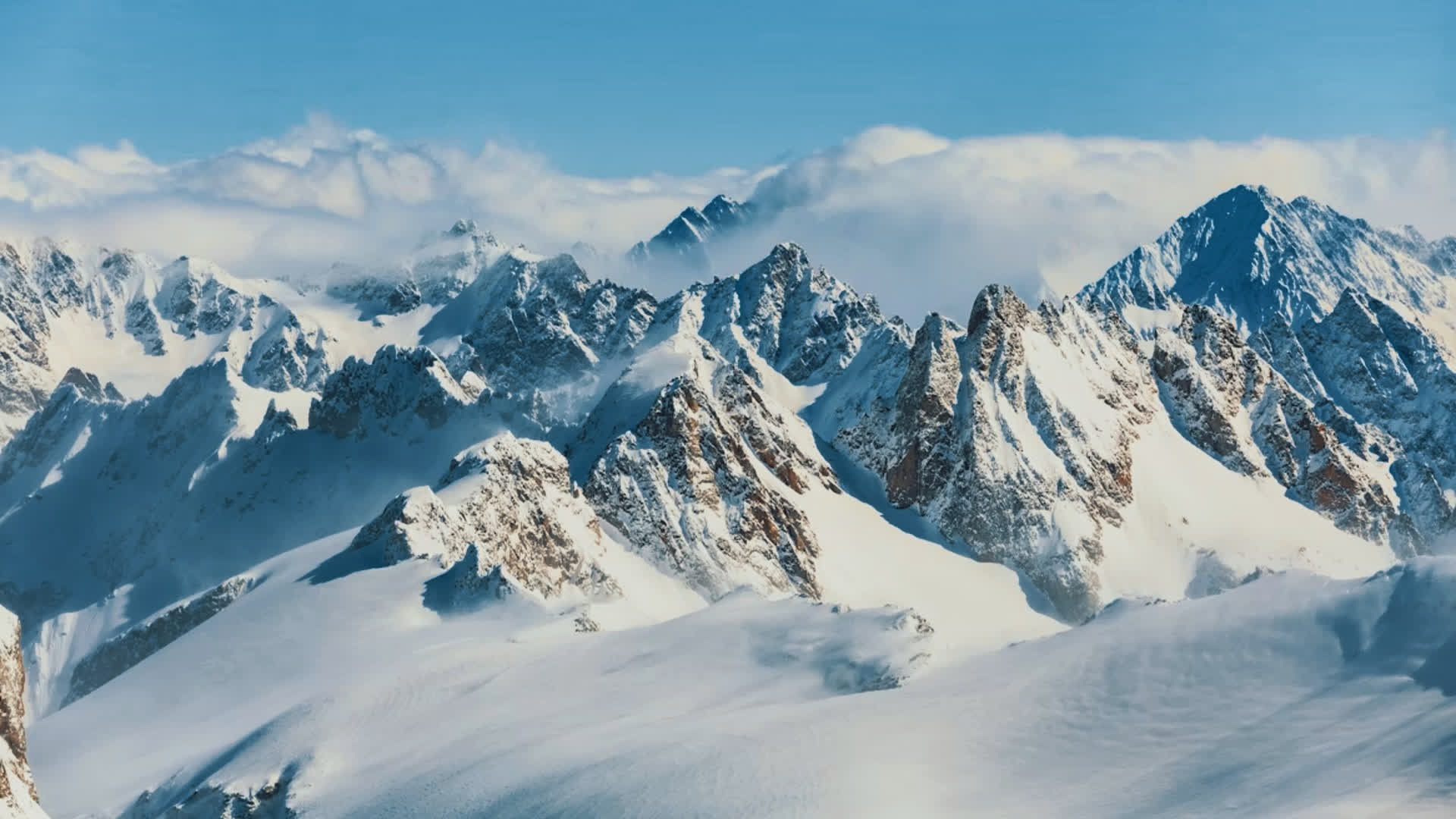 应用 LUT 后预览