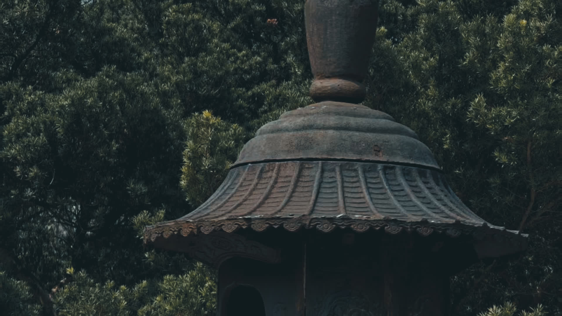 应用 LUT 后预览