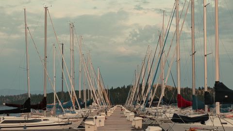 绿色对比度电影