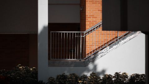 鲜艳的橙色和苍白的绿色 适用于自然和旅行