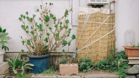 柯达 Portra 400 VC 2