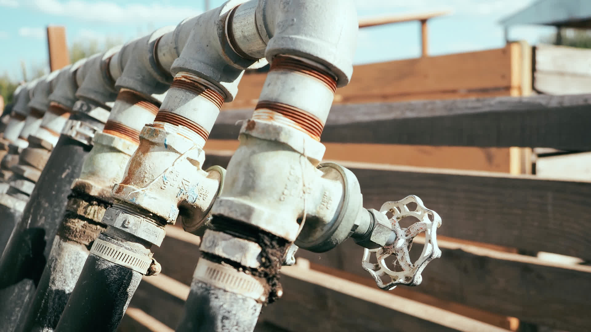 应用 LUT 后预览