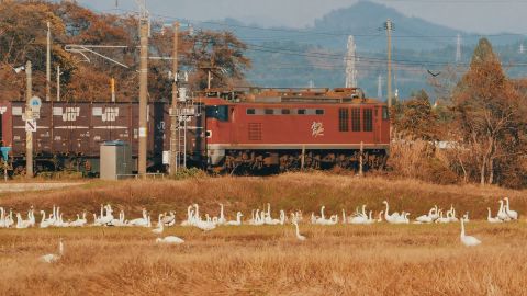 旧城文旅电影调